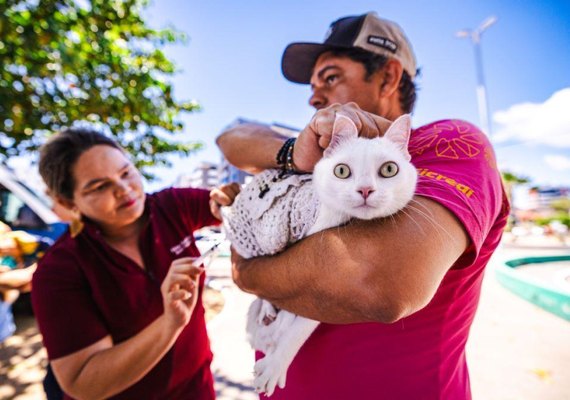 Campanha de vacinação antirrábica termina no próximo fim de semana