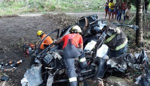 Motorista inabilitado de 17 anos morre após colisão contra carreta na BR-101