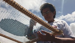 Bordado filé sobrevive nas cores de Alagoas