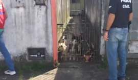 Polícia Civil apura denúncia de maus tratos a animais