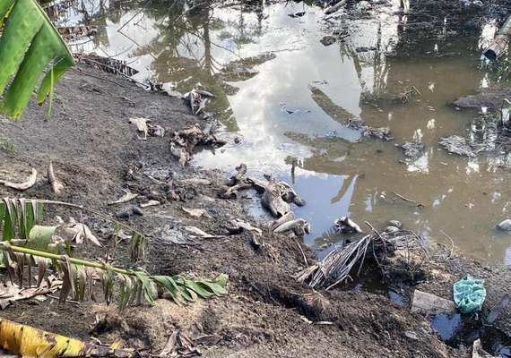 IMA e Batalhão Ambiental flagram abate clandestino de carne em São Luís do Quitunde