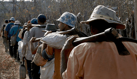 Operação Resgate liberta 140 trabalhadores de condições análogas à escravidão