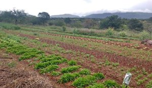 Produtores de Santana do Ipanema recebem equipamentos nesta segunda (23)