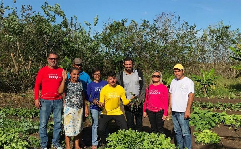 Missão técnica da OCB/AL apresenta a coops agricultura familiar e agroecologia da PB