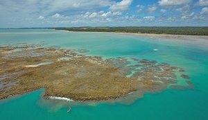 Costa dos Corais: pescadores e órgãos ambientais se unem contra extinção