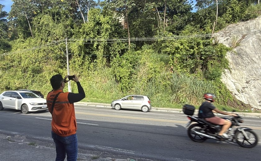 Defesa Civil de Maceió recomenda retirada de árvores em áreas de risco e próximas à rede elétrica