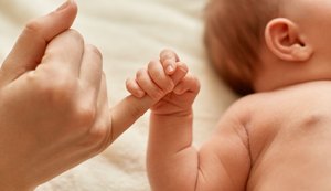 Alagoas registra queda histórica nos nascimentos e alta nos casamentos homoafetivos