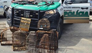 PM apreende em Matriz do Camaragibe sete armas, armadilhas e aves silvestres