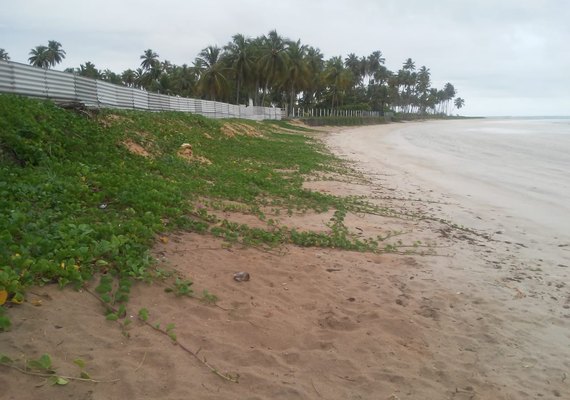 A importância da engorda natural como solução para muitas praias alagoanas