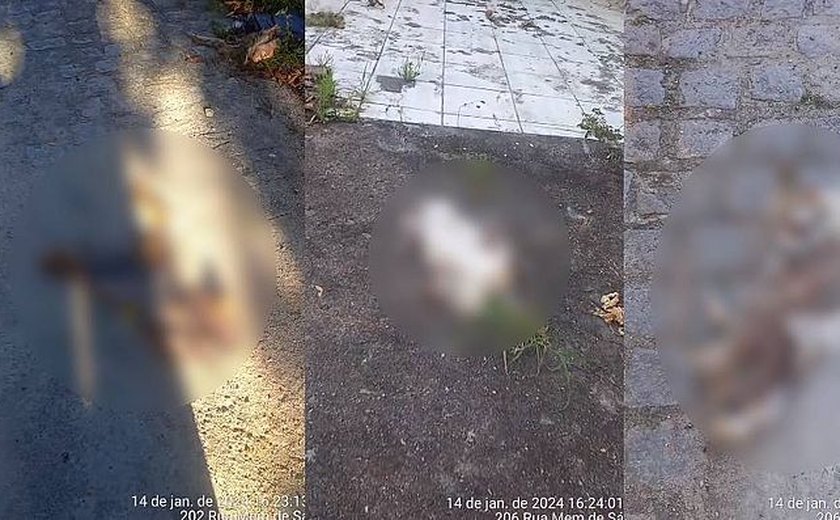 Polícia Civil vai investigar matança de gatos em rua de Bebedouro