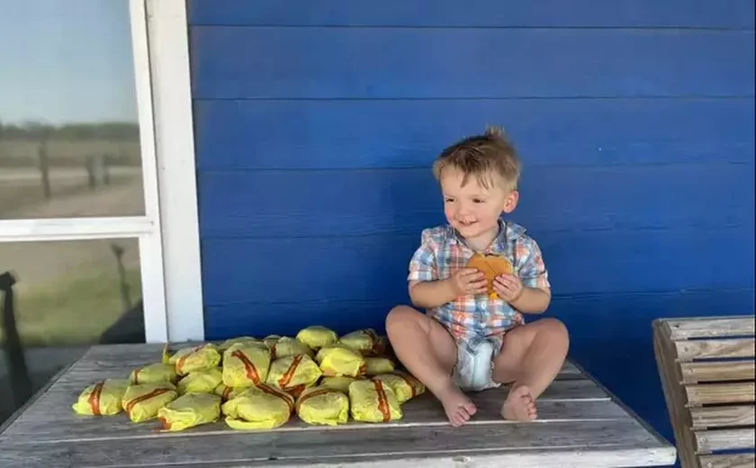Criança de 2 anos pede 31 hamburgueres em app usando celular da mãe