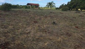 Guia de informações turísticas é assassinado em Japaratinga