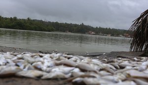 Mortandade de peixes no complexo lagunar Mundaú-Manguaba é tema de sessão especial