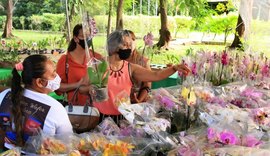 Feira de orquídeas e bromélias deve receber cerca de 3 mil pessoas