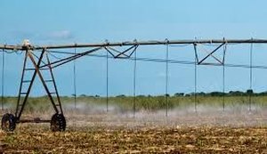 Parceria garante regulamentar irrigação em canaviais