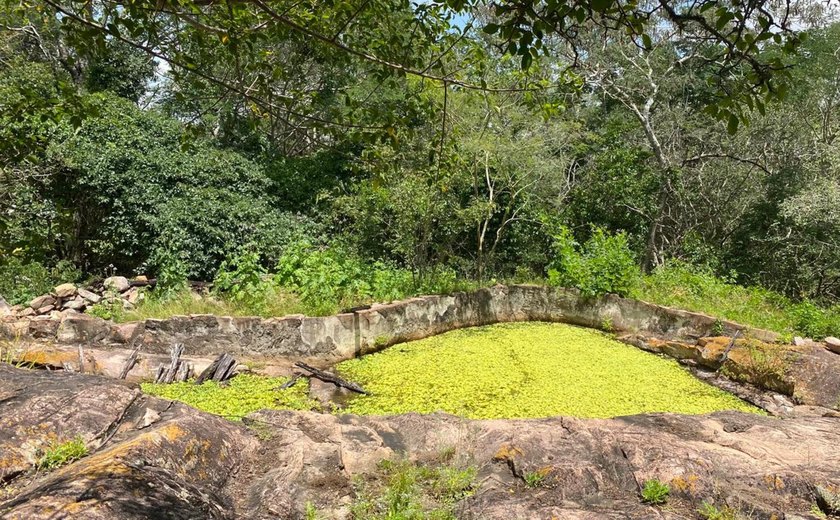 IMA orienta sobre cuidados necessários ao fazer uma trilha ecológica