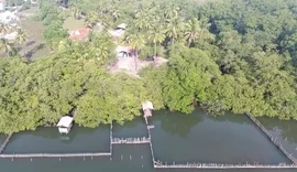 Prefeitura de Porto de Pedras acompanha caso de óbitos de dois peixes-boi marinhos