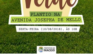 Bairro Verde leva plantio à Avenida Josepha de Mello