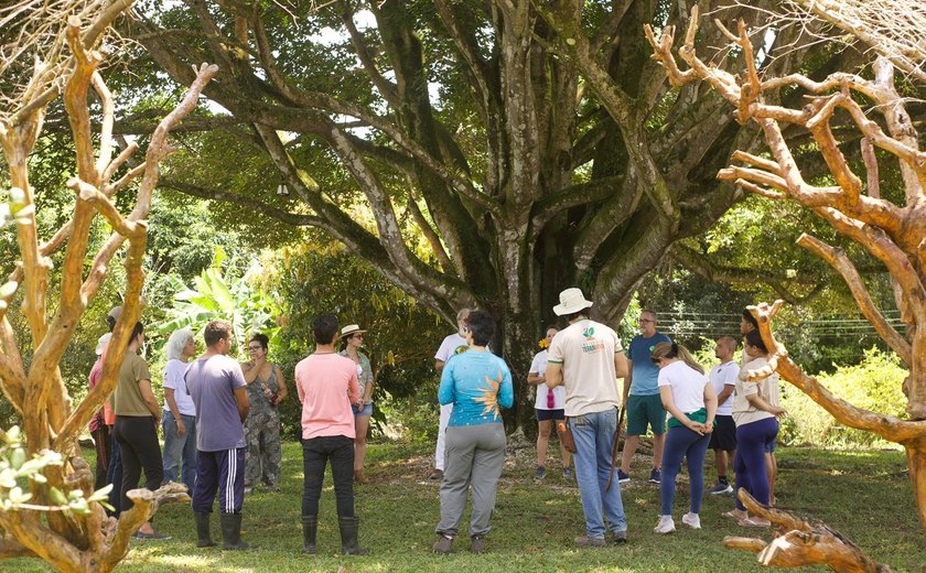 Circuito Corpo, Arte e Natureza promove imersão artística em meio à Natureza, em Maceió