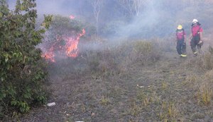 Incêndio destrói cinco hectares de mata no município de União dos Palmares