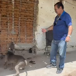 Polícia Civil resgata cães vítimas de maus-tratos em Dois Riachos