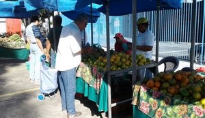 Feiras livres no interior de Alagoas são desafio para gestores municipais