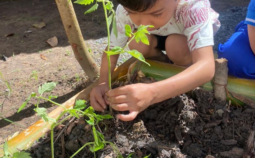 Criação de horta estimula aprendizagem de alunos de creche na Pitanguinha
