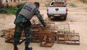 Soltura de centenas de aves e caranguejos ocorre na APA Costa dos Corais