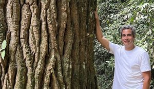 Plantas da Mata Atlântica de Alagoas ganham espaço no paisagismo de condomínios de alto padrão no Salão de Imóvel Ademi