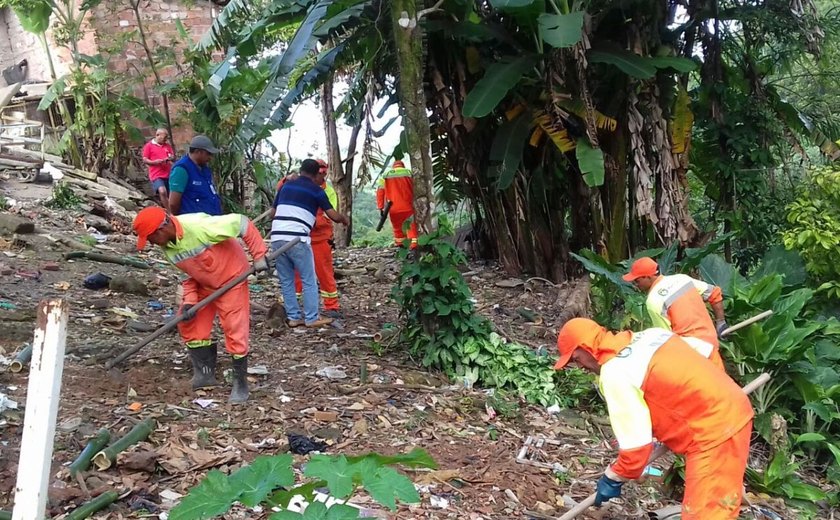 Prefeitura de Maceió realiza reflorestamento em encostas atingidas pelas chuvas