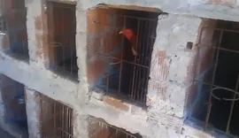 Polícia localiza rinha de galo e homem é preso por maus tratos em Taquarana