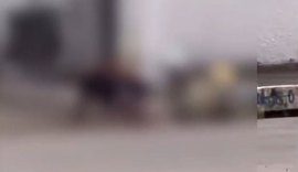 Pitbulls matam gato em via pública e causam pânico no Salvador Lyra