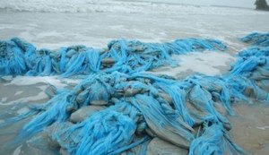 IMA identifica que material encontrado em praia é formado por sacolas plásticas