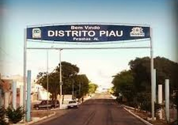 Pedestre morre atropelado por van de transporte alternativo na AL-220, no Distrito de Piau