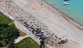 Quatro mil toneladas de óleo já foram retirados das praias nordestinas