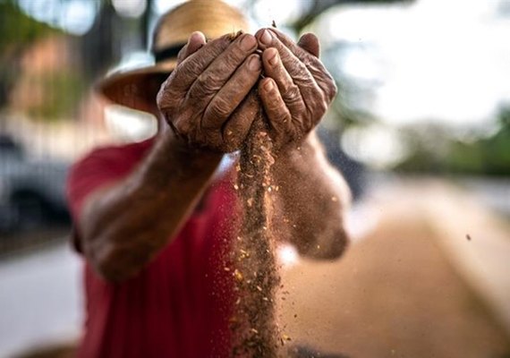 400 entidades serão selecionadas para receber recursos do FSA Caixa