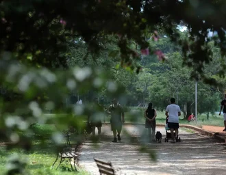 Alerta de baixa umidade atinge 32 municípios de Alagoas nesta quinta-feira