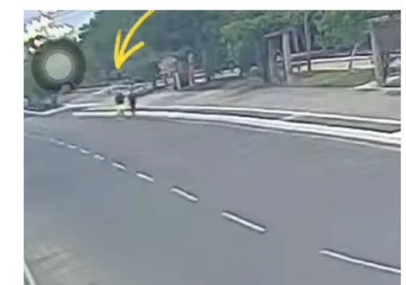 PC prende suspeito de matar mulher enquanto caminhava em bosque