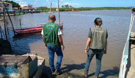 IMA investiga mortandade de peixes no município de Porto de Pedras