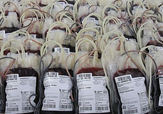 Dia Mundial da Hemofilia: condição genética dificulta coagulação