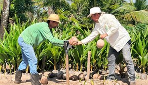 Coopaiba amplia a agroindústria, processa 6 milhões de frutos e fortalece um ecossistema de oportunidades no campo