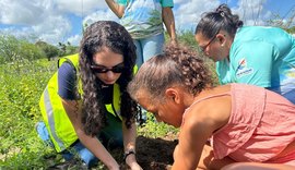 Pão de Açúcar planta futuro com ações ambientais e educação ecológica