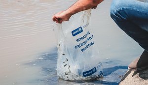 Seagri entrega mais de 100 mil alevinos de tilápia no mês de março