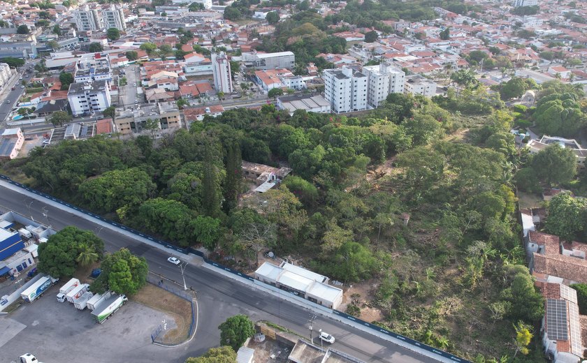 Desmatamento avança em refúgio de Mata Atlântica na Serraria
