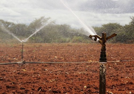 Projetos Públicos da Codevasf produziram 3,7 milhões de toneladas de itens agrícolas em 2016