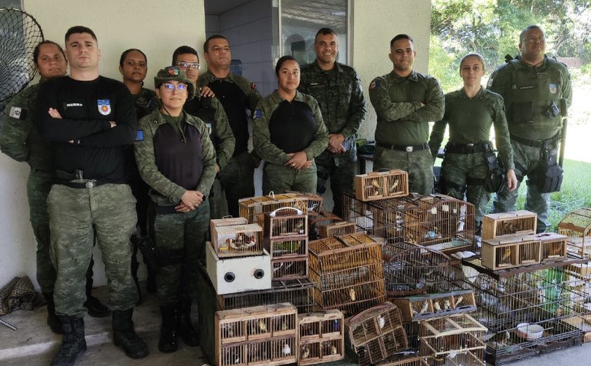 Operação Pássaro Livre apreende 112 aves silvestres na Feirinha do Tabuleiro