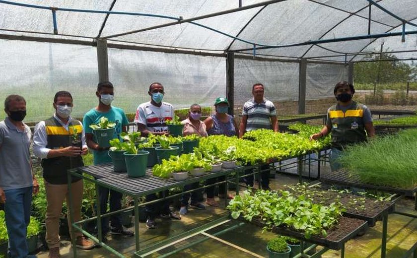 Governo de Alagoas e Cooperativa Pindorama potencializam oportunidades a quilombolas