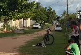 Criança de 3 anos morre afogada em piscina de residência em Tabuba