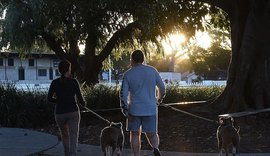 Aumenta número de fraturas em idosos que passeiam com cães, diz estudo