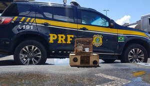 PRF/AL detém duas pessoas por crimes ambientais em Alagoas